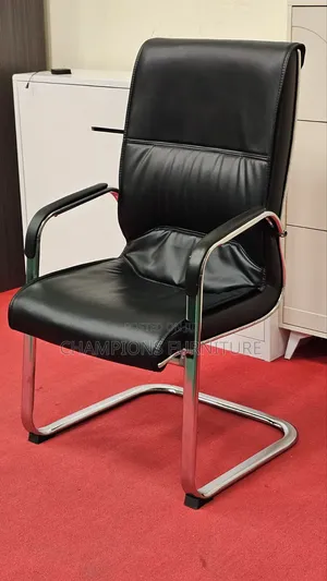 Executive Leather Cantilever Chair