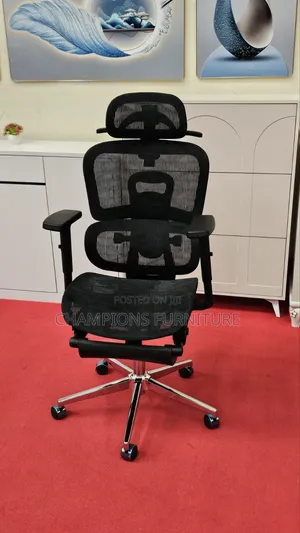 Orthopedic Office Chair With Retractable Legrest