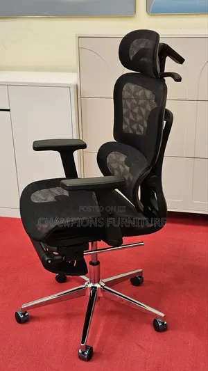 Orthopedic Office Chair With Retractable Legrest