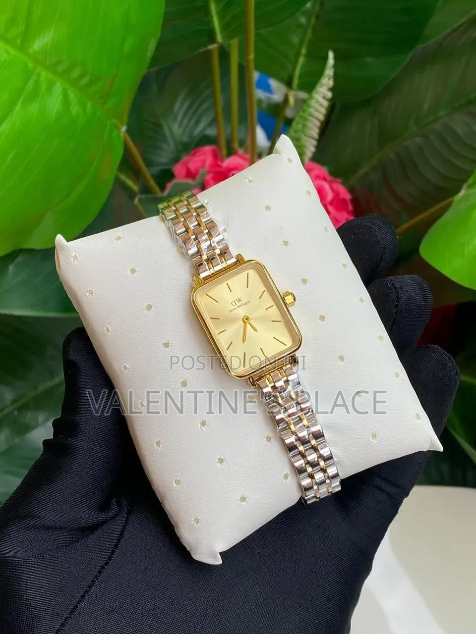 Daniel Wellington (Dw) Ladies Watch