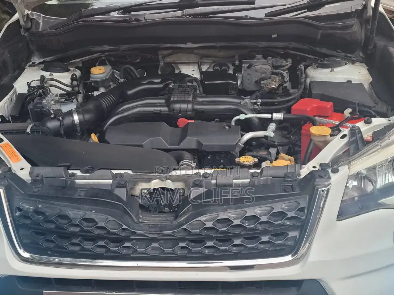 Subaru Forester 2015 White