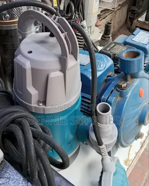 Powerful Total 1hp Sewage Pump