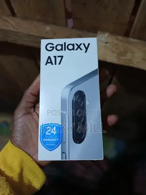 Samsung Galaxy A17 128 GB Gray
