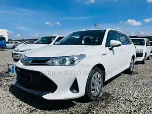 Toyota Corolla Fielder 2019 White