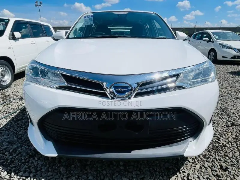 Toyota Corolla Fielder 2019 White