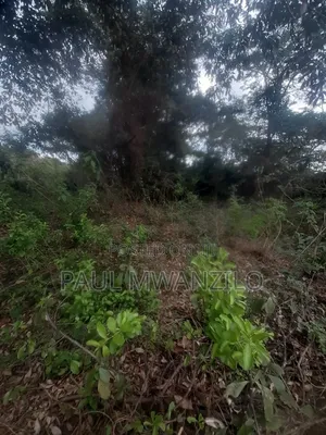 6 Acres Farmland on Sale at Itandi Wote Municipality