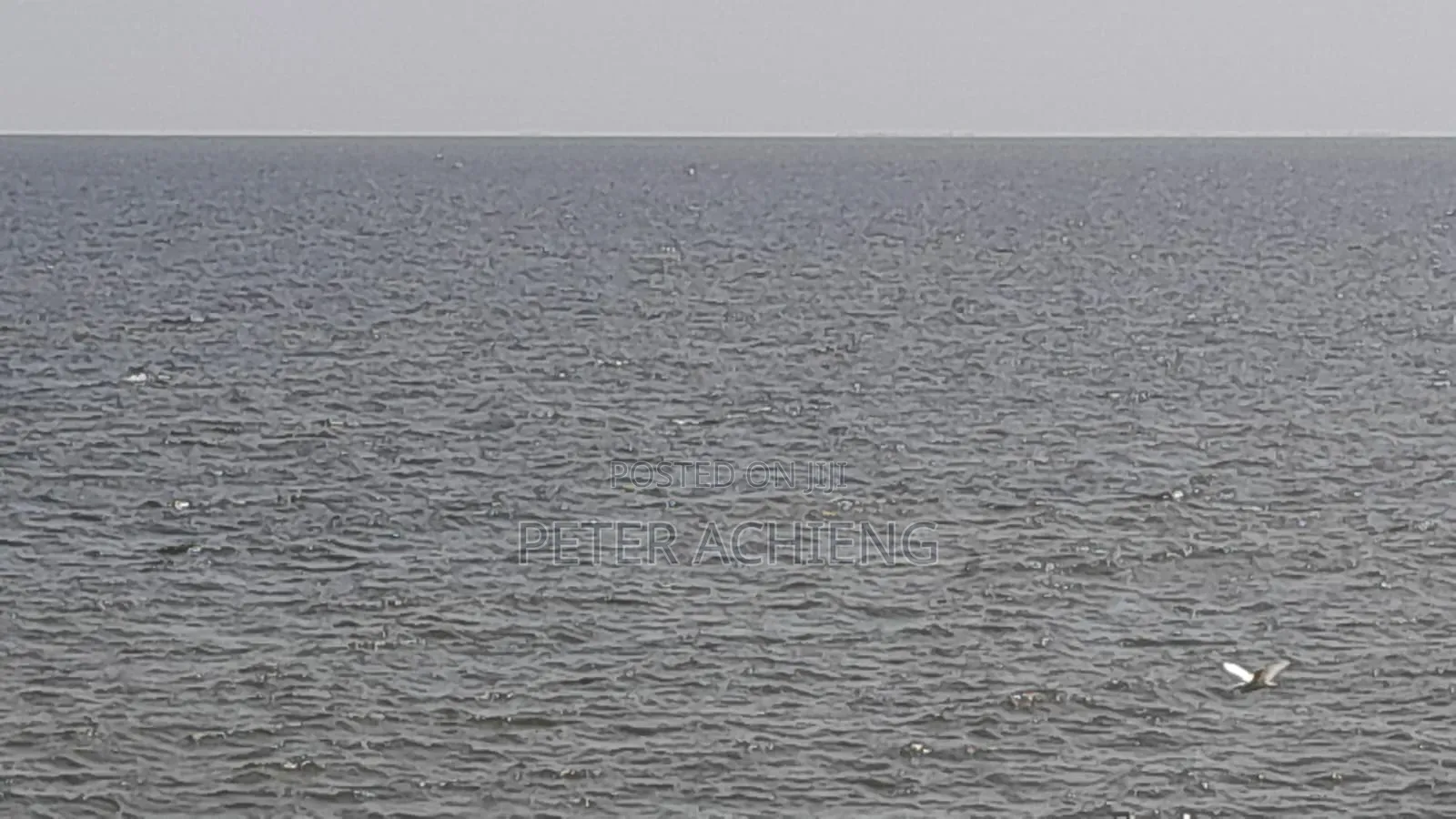 3 Acres Central Sakwa Lihunda