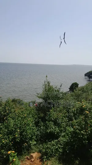 3 Acres Central Sakwa Lihunda