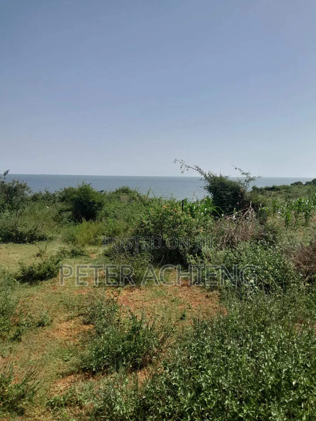 3 Acres Central Sakwa Lihunda