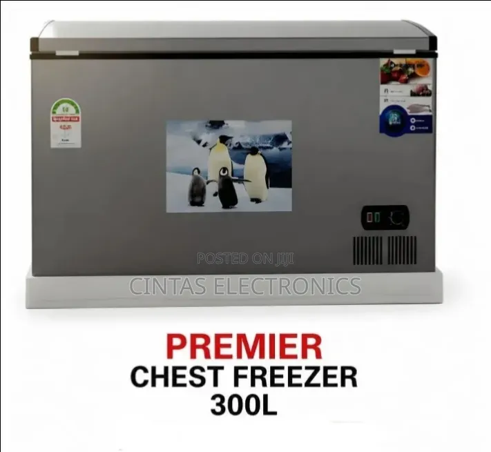 300l Chest Freezer