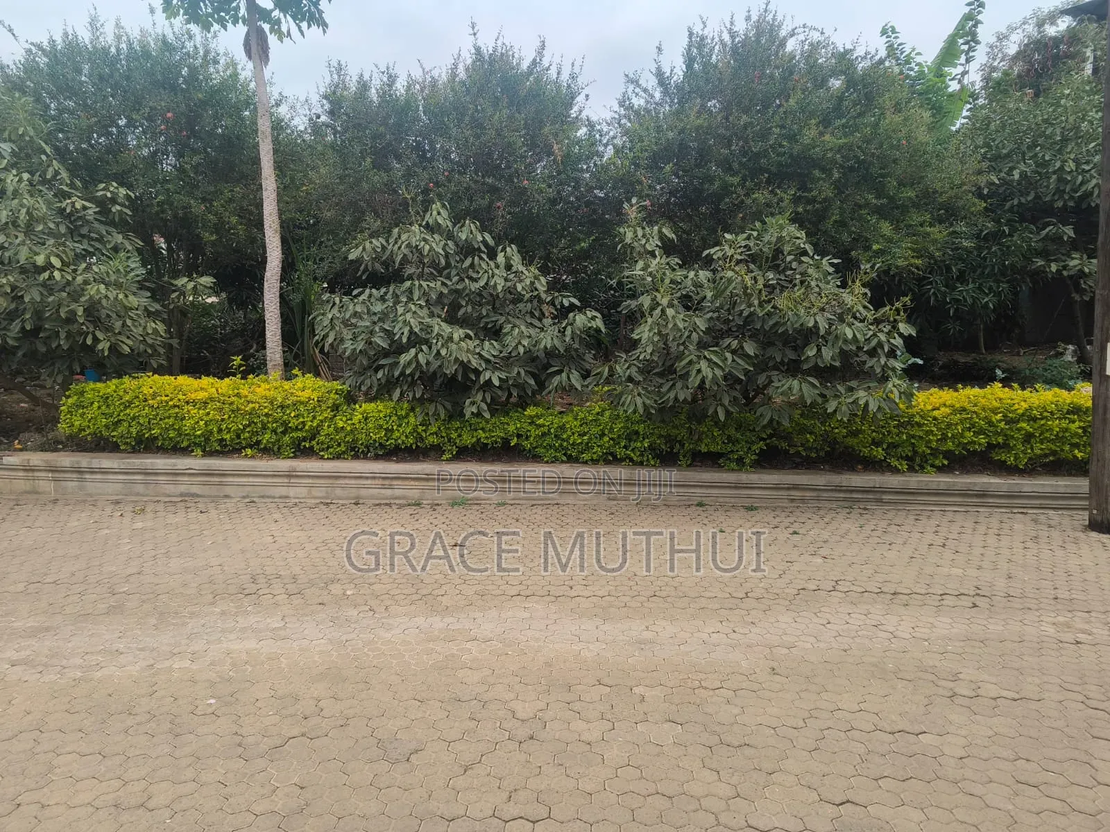 Fully Furnished 3bdrm Airbnb in Kahawa Sukari