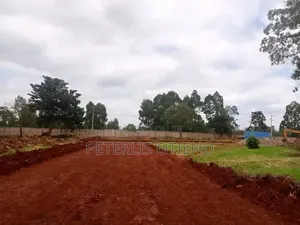 Own a Prime Plot in Juja Today