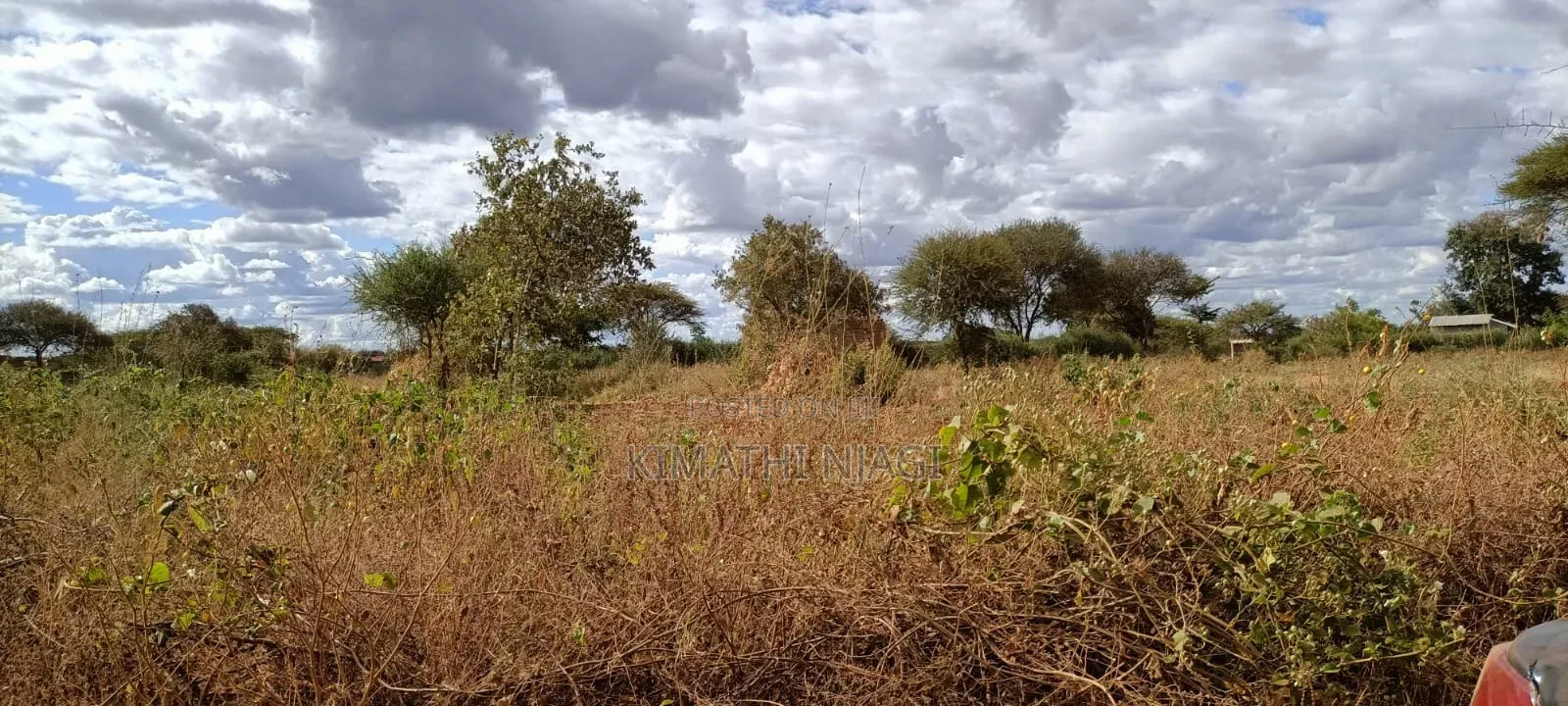 Land/Plot for Sale