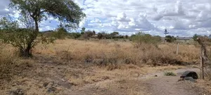 Land/Plot for Sale