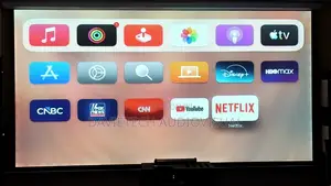 300 by 300 Electric Projection Screen