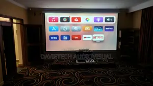 300 by 300 Electric Projection Screen