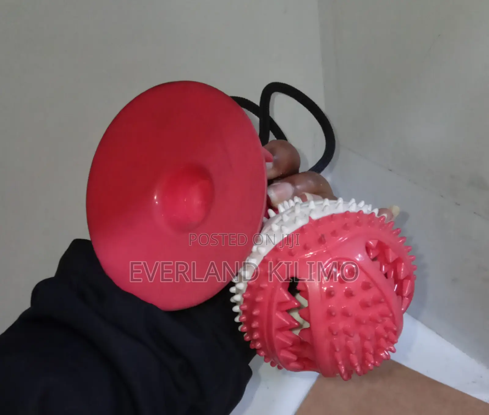 Dispensing Suction Treat Ball Toy