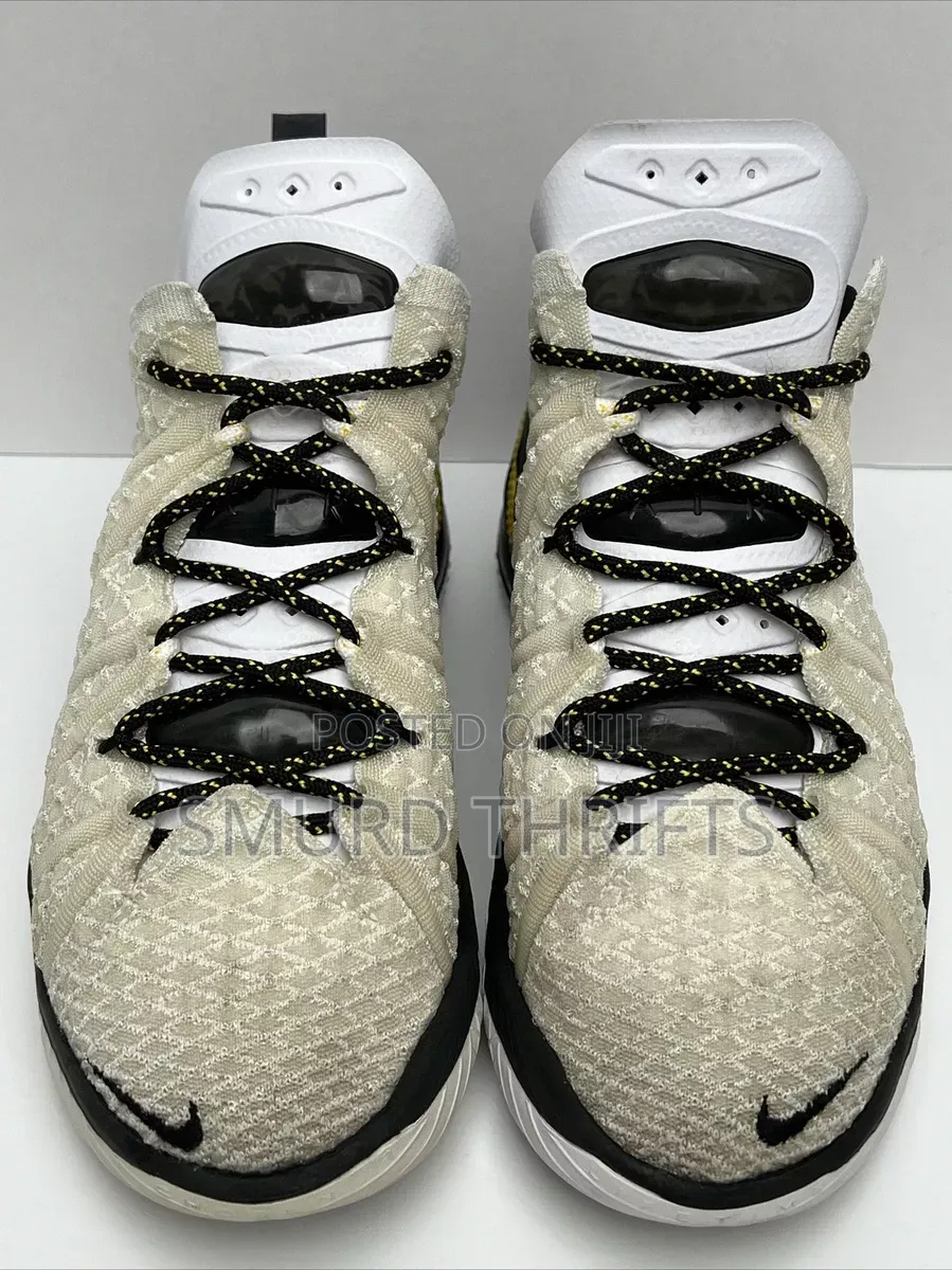 Nike LeBron 18