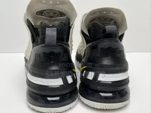 Nike LeBron 18