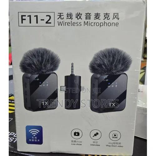 Wireless Microphone - main view
