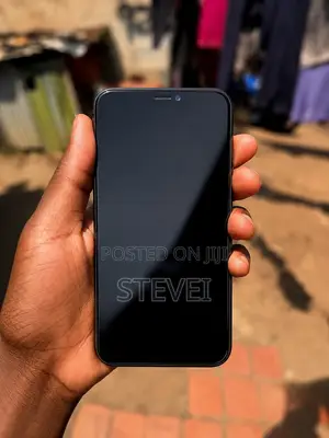 Apple iPhone 11 Pro Max 256 GB Gray