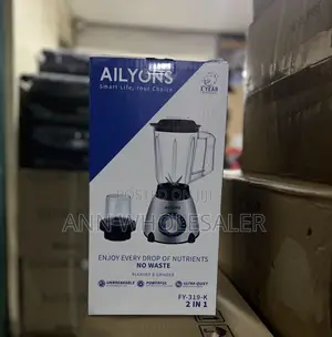 2 in 1 Blender