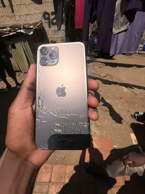 Apple iPhone 11 Pro Max 256 GB Gray
