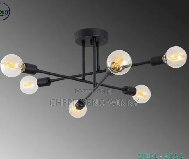 Six Holder Ceiling Light