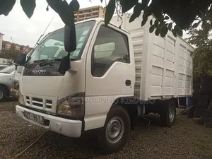 Isuzu Truck NHR Local on Quick Sale