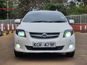 Toyota Corolla Fielder 2010 Pearl
