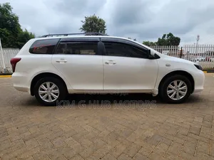Toyota Corolla Fielder 2010 Pearl