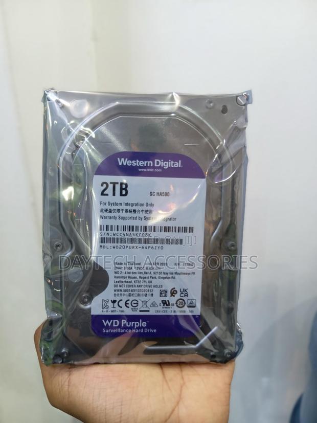 WD Surveillance 2 TB Hard Disk - main view