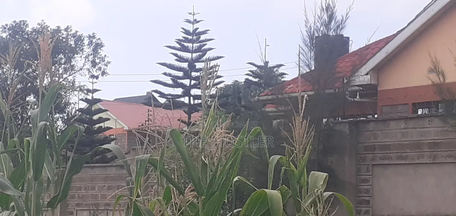 Plot Available on Sale! .