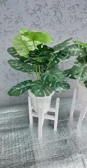 Monstera Plant+ Vase+ Stand