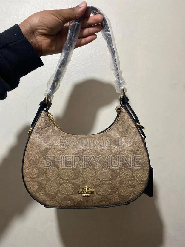 Moon Coach Bag