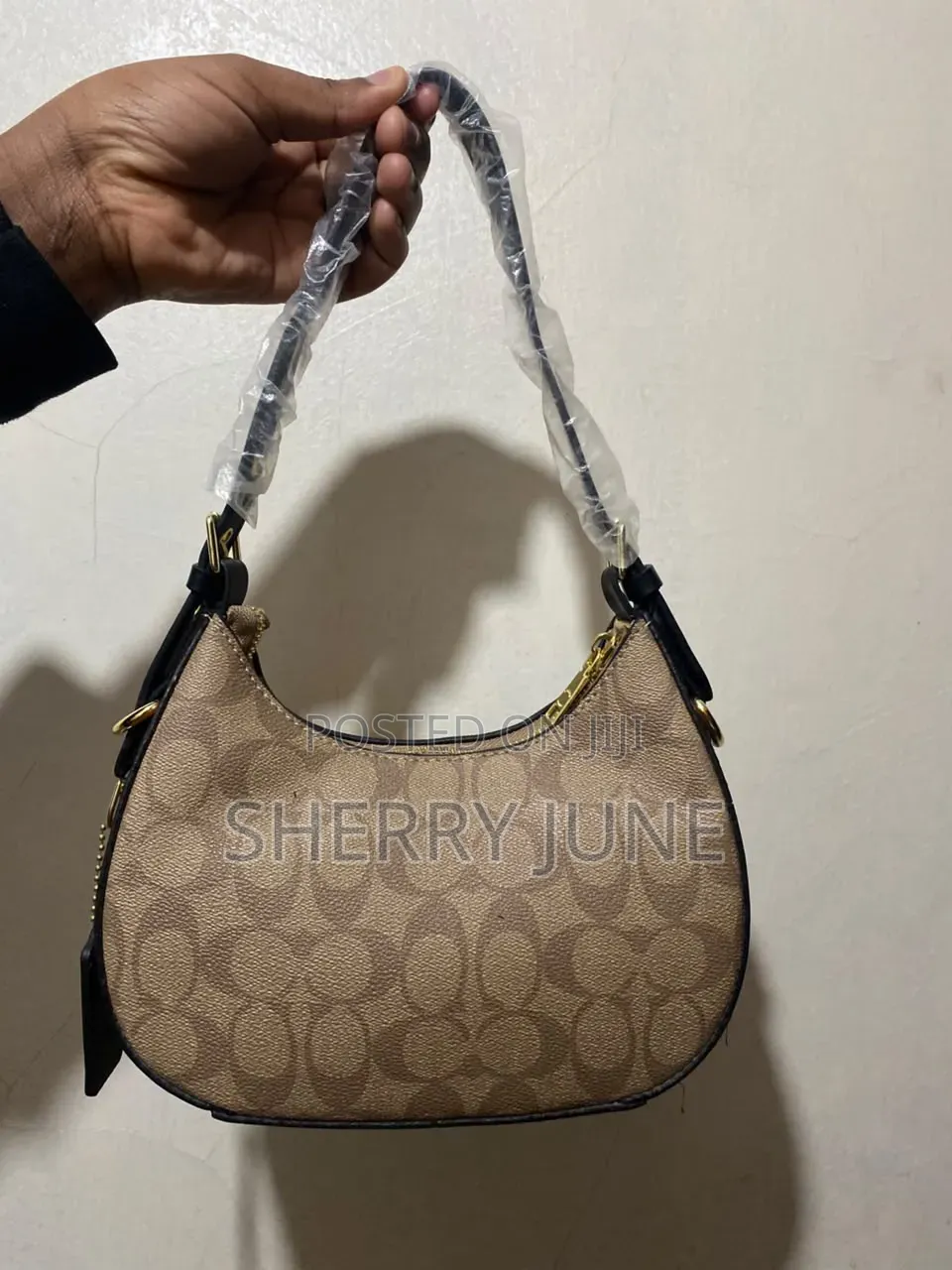 Moon Coach Bag