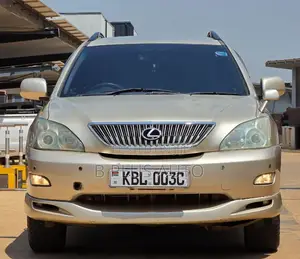 Lexus RX 2003 Gold