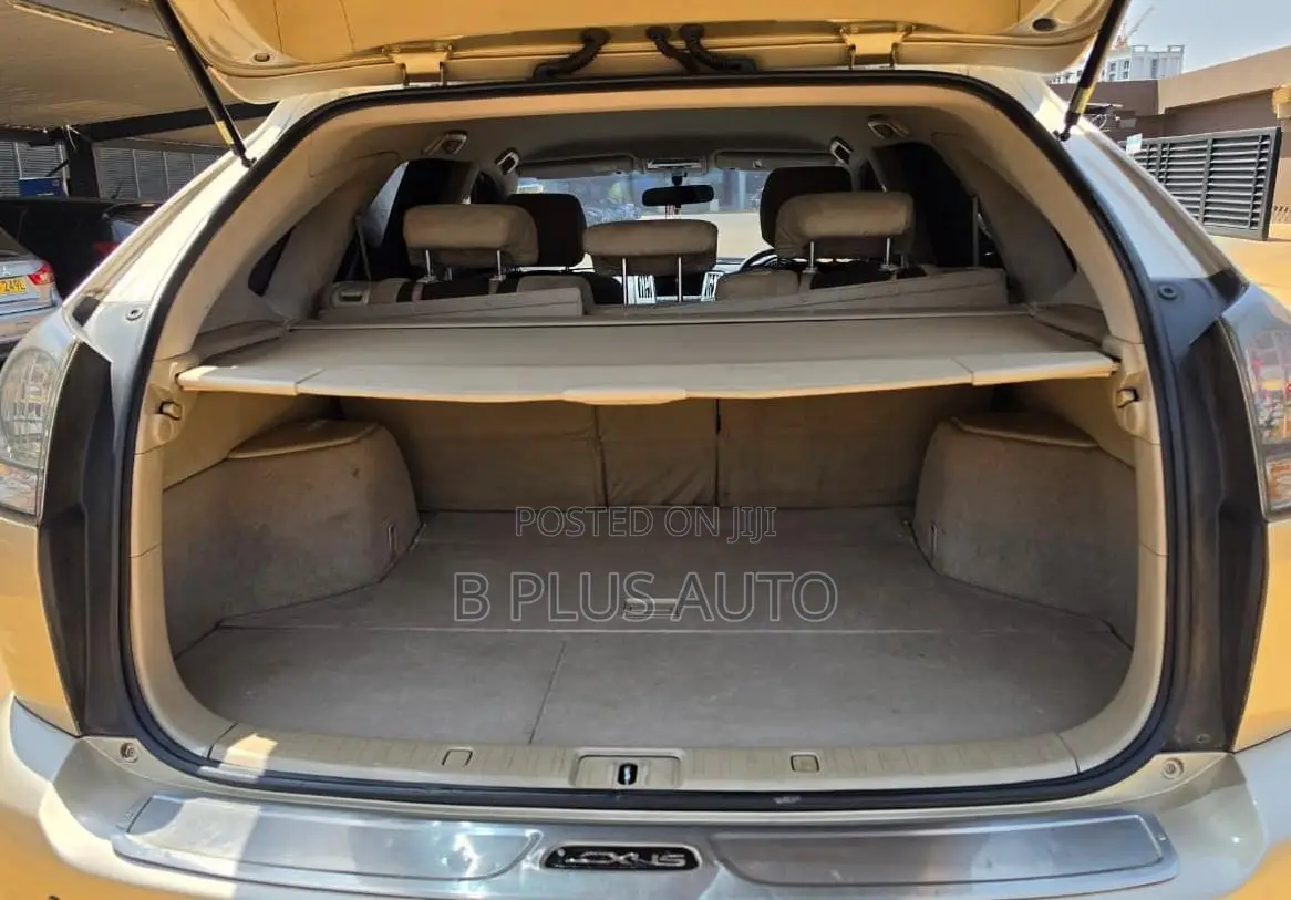 Lexus RX 2003 Gold