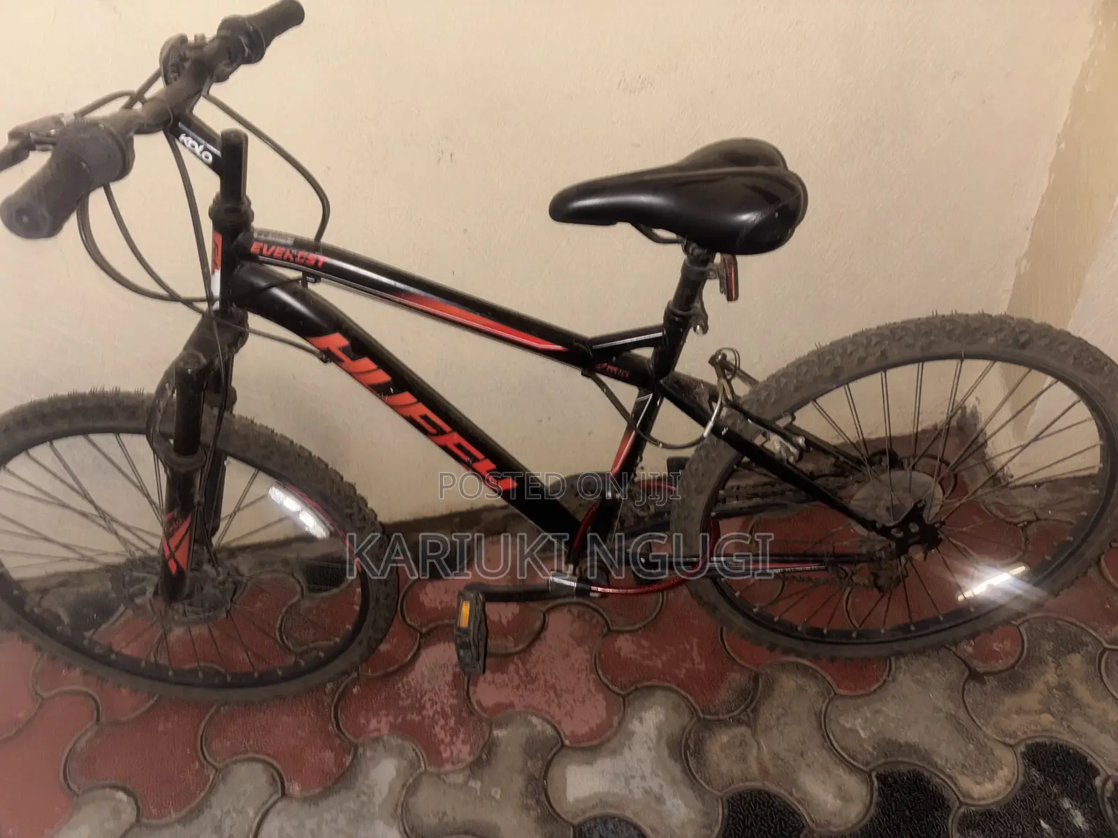 Mountain Bike