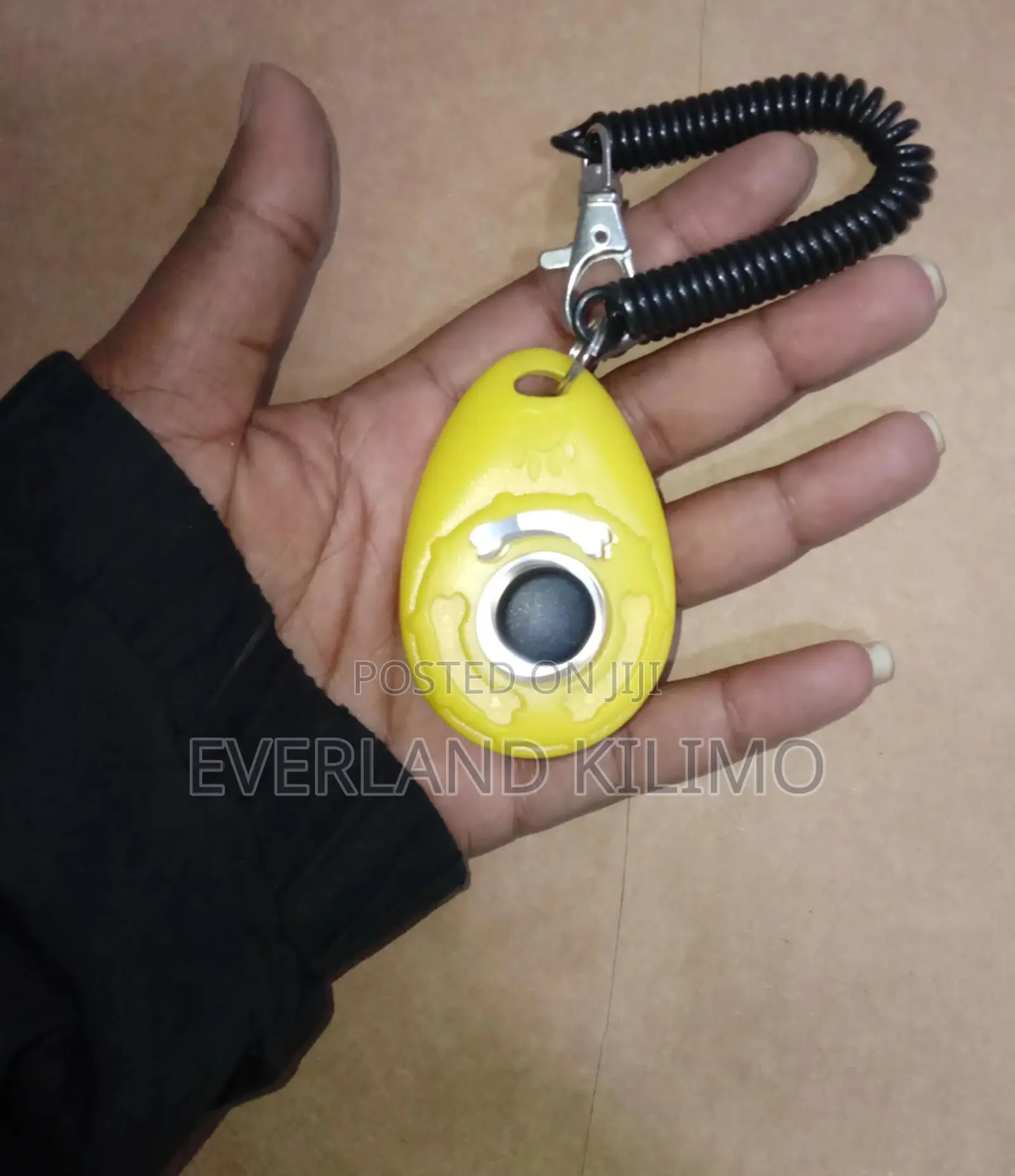 Clicker Training for Dogs