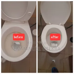 Cleaning and Landscaping