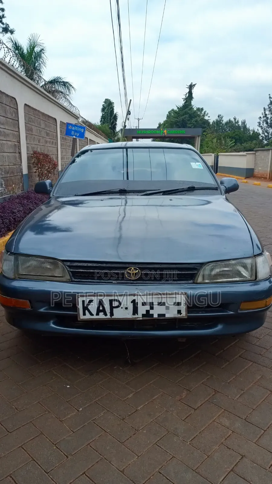Toyota Corolla 1993 Gray