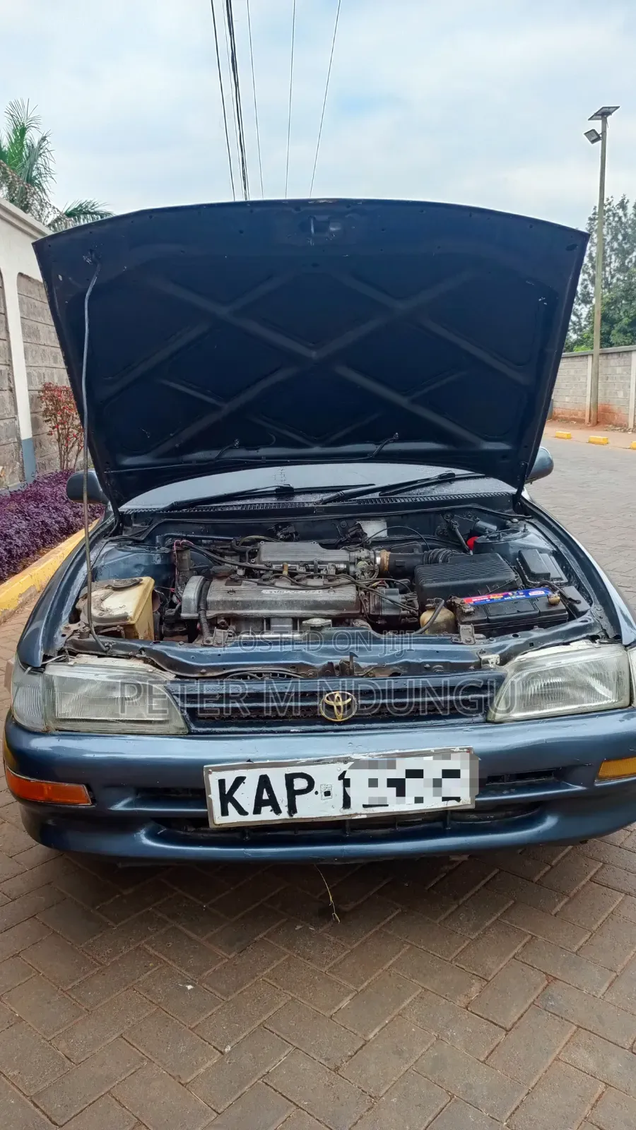 Toyota Corolla 1993 Gray