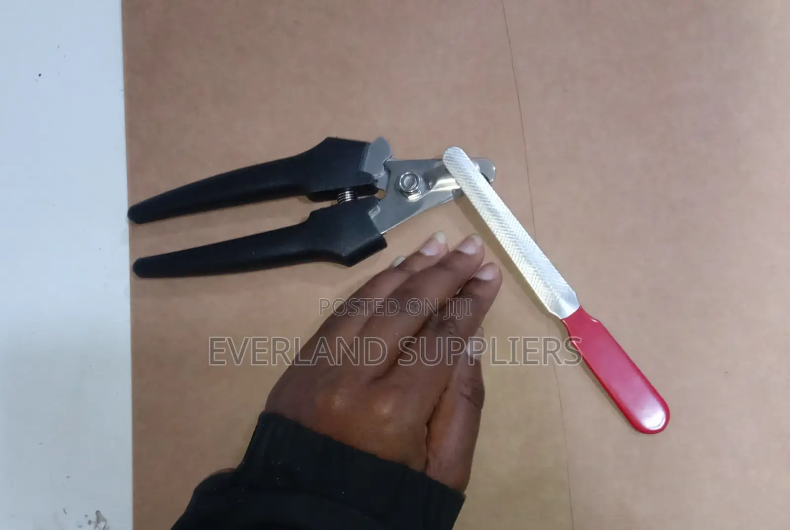Dogs Nail Clippers and File