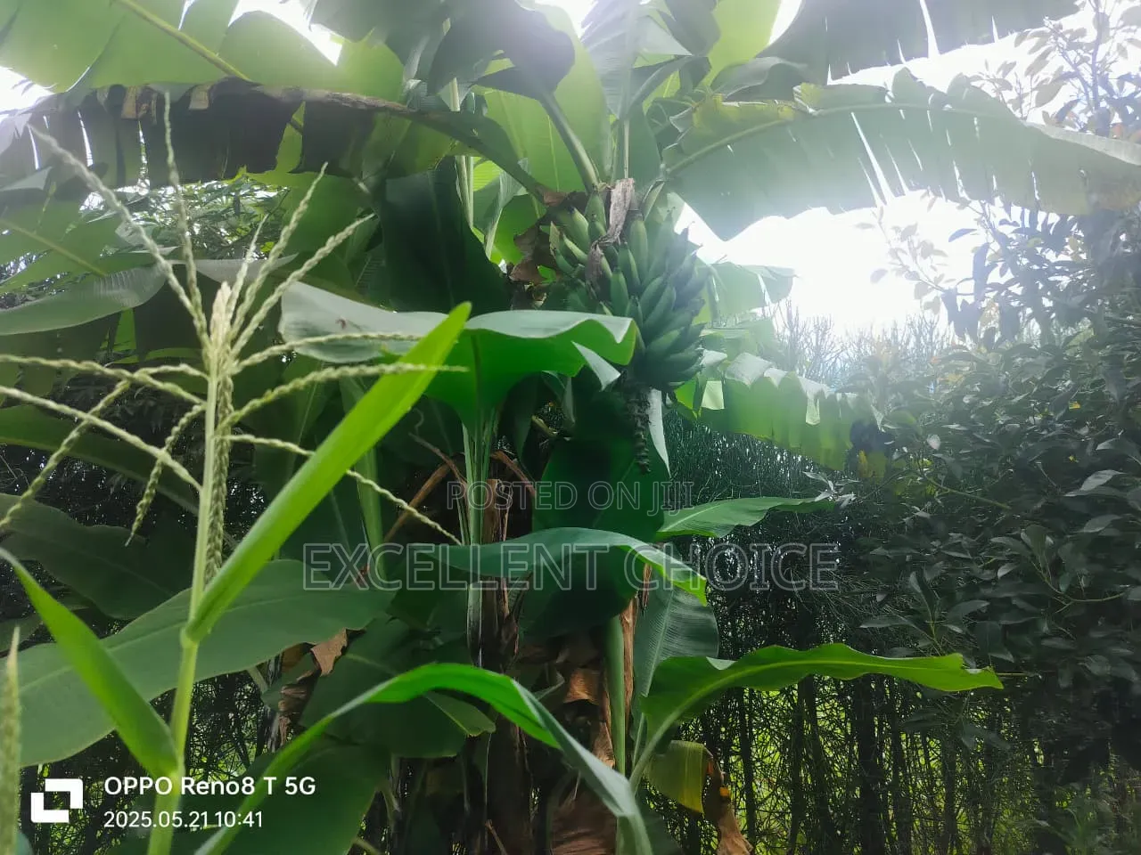 Mananja/Makuyu Plots/Lands for Sale