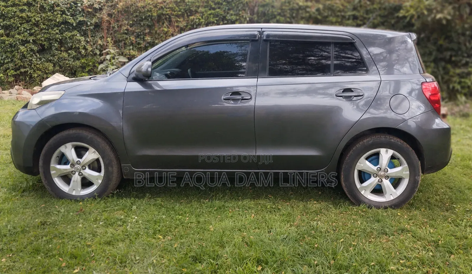 Toyota IST 2007 Gray