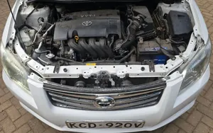 Toyota Axio 2008 White