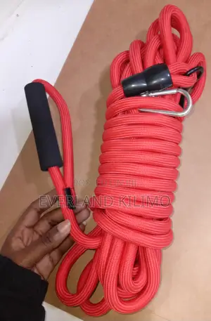 Long Training Dog Leash
