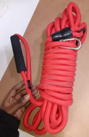 Long Training Dog Leash