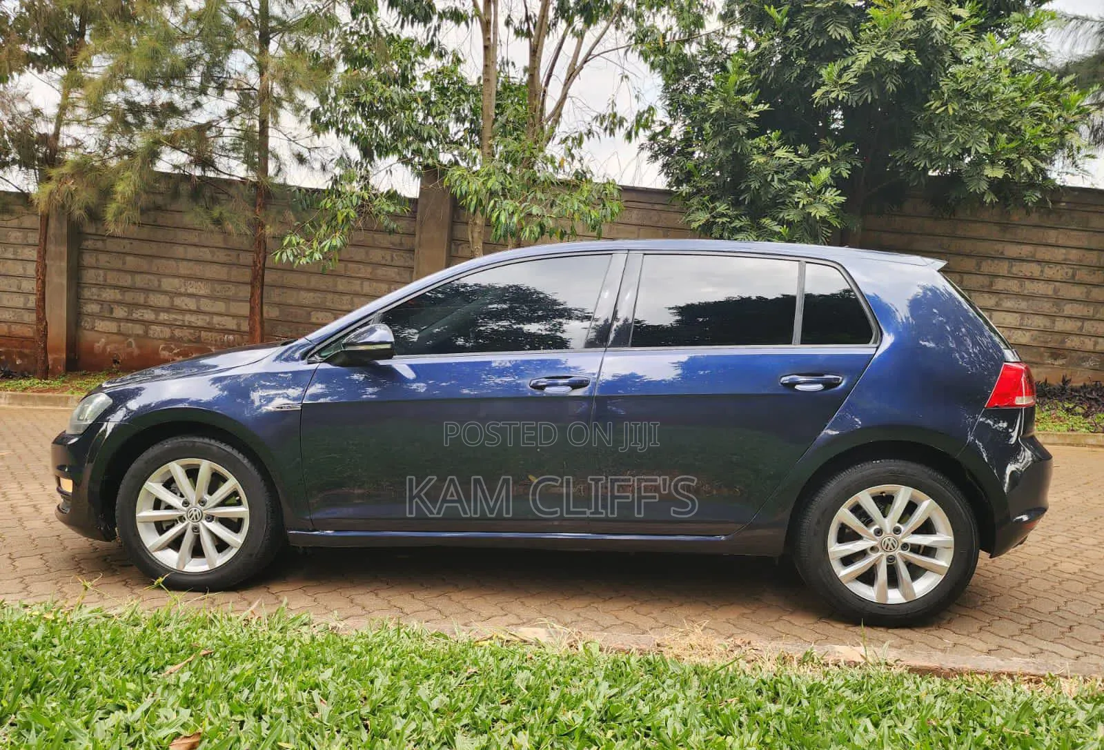 Volkswagen Golf 2016 Blue